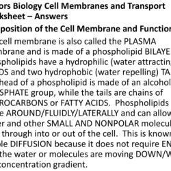 Chapter 8 lesson 3 cell transport answer key