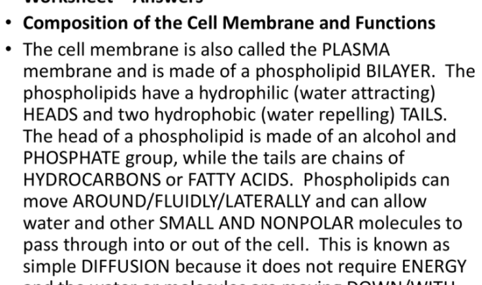 Chapter 8 lesson 3 cell transport answer key