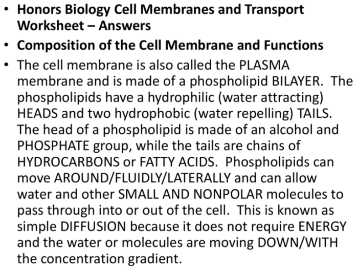 Chapter 8 lesson 3 cell transport answer key