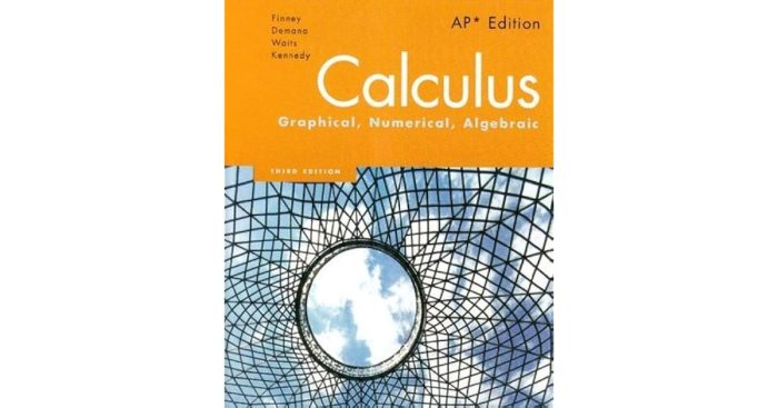 Calculus graphical numerical and algebraic