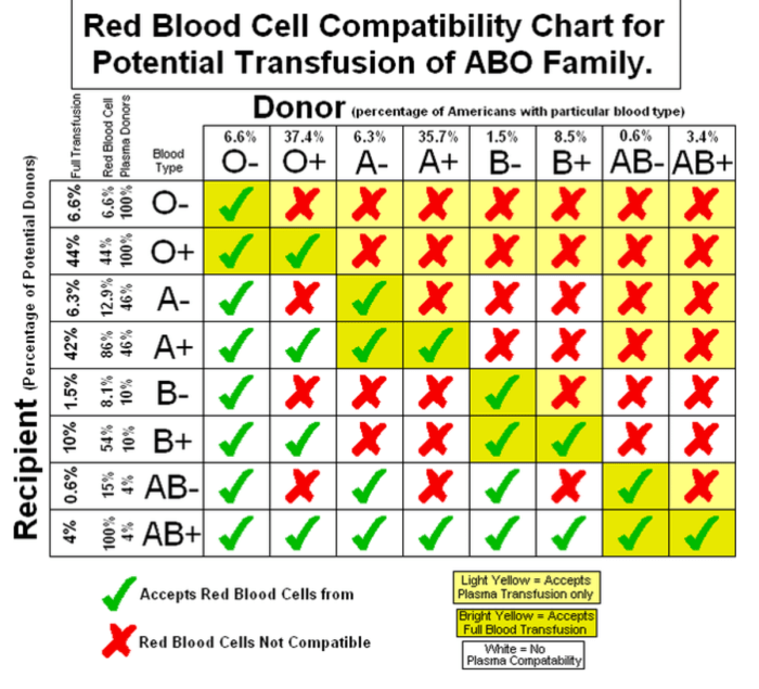 Concept map blood groups and transfusions