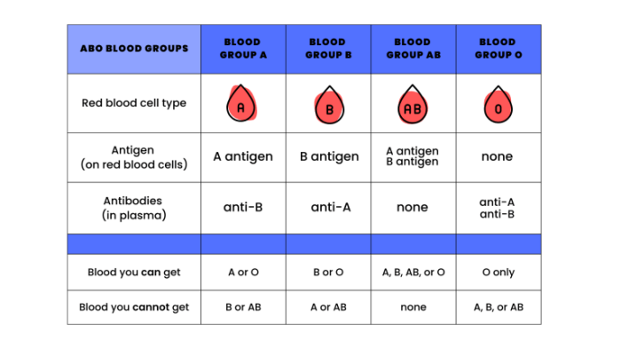 Concept map blood groups and transfusions