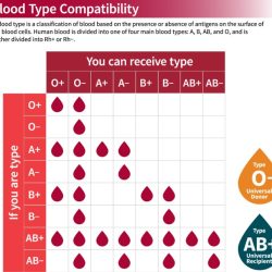 Concept map blood groups and transfusions