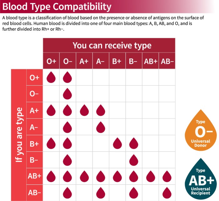 Concept map blood groups and transfusions