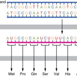 Rna seq framework transcriptional toolkit modifications transcriptome seqblog