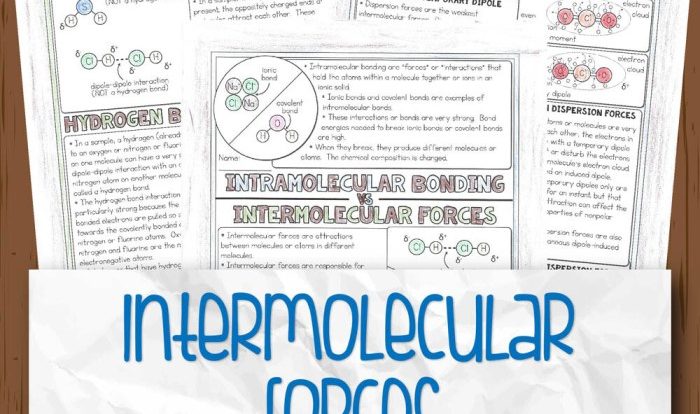 Intramolecular and intermolecular forces worksheet answers