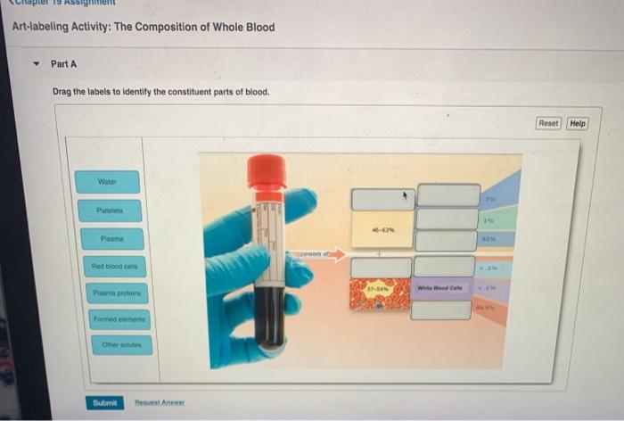 Art-labeling activity the composition of whole blood