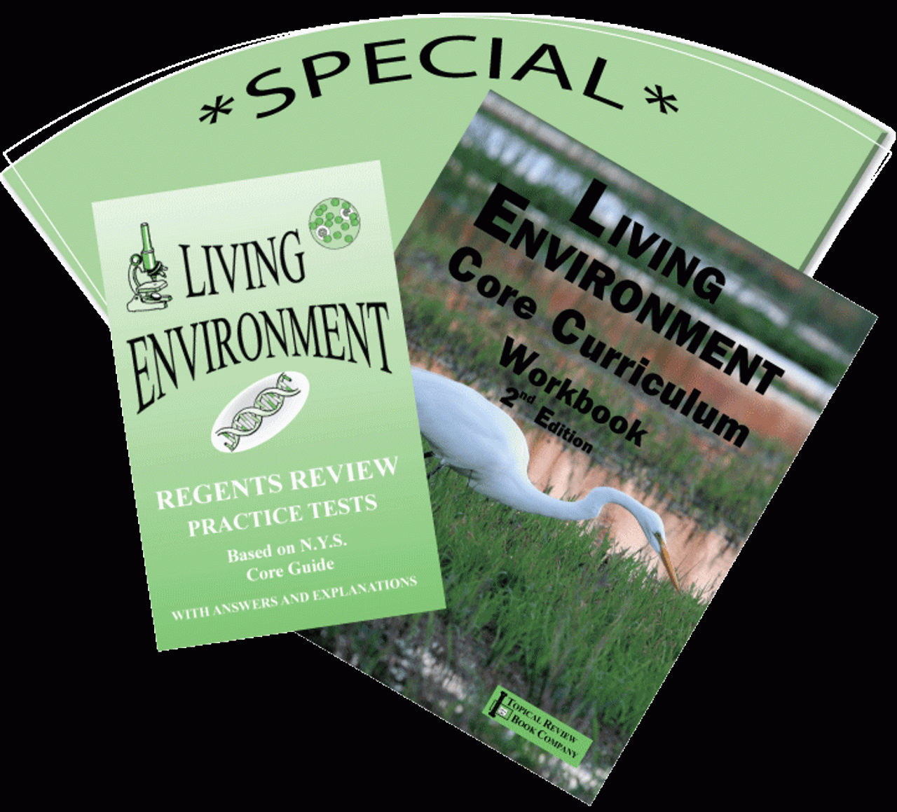 Living environment core curriculum workbook 2nd edition answers