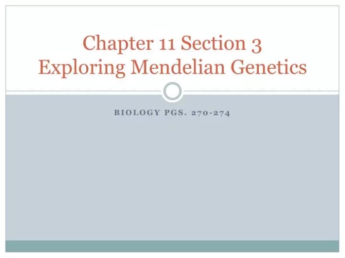 Section 11 3 exploring mendelian genetics