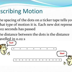 Worksheet physics displacement velocity acceleration worksheets graphs kinematics describing verbally chapter packet studylib equations chessmuseum traveled