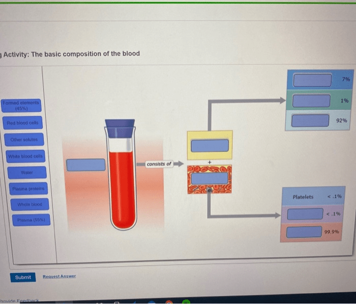 Art-labeling activity the composition of whole blood